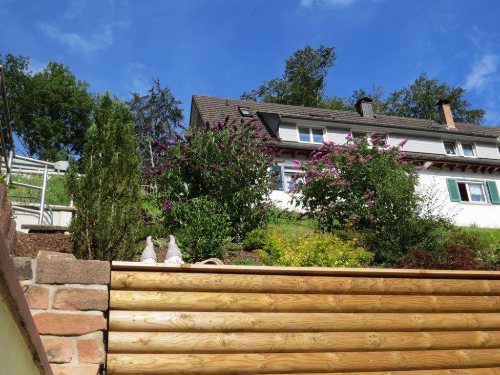 Ferienwohnung Am Kapellenberg - Am Rande Des Nationalparks Schwarzwald Bad Peterstal-Griesbach Exterior photo