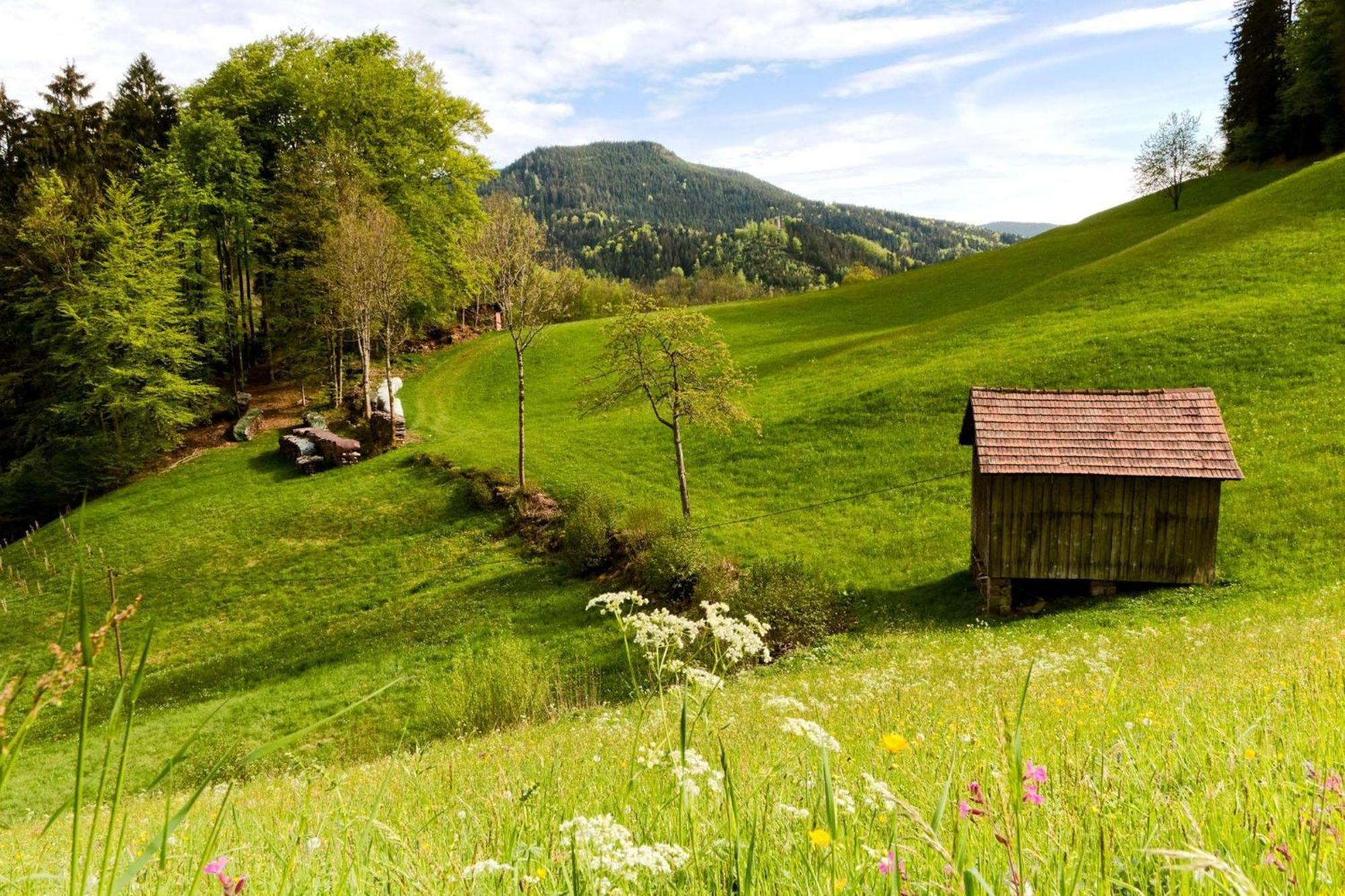 Ferienwohnung Am Kapellenberg - Am Rande Des Nationalparks Schwarzwald Bad Peterstal-Griesbach Exterior photo
